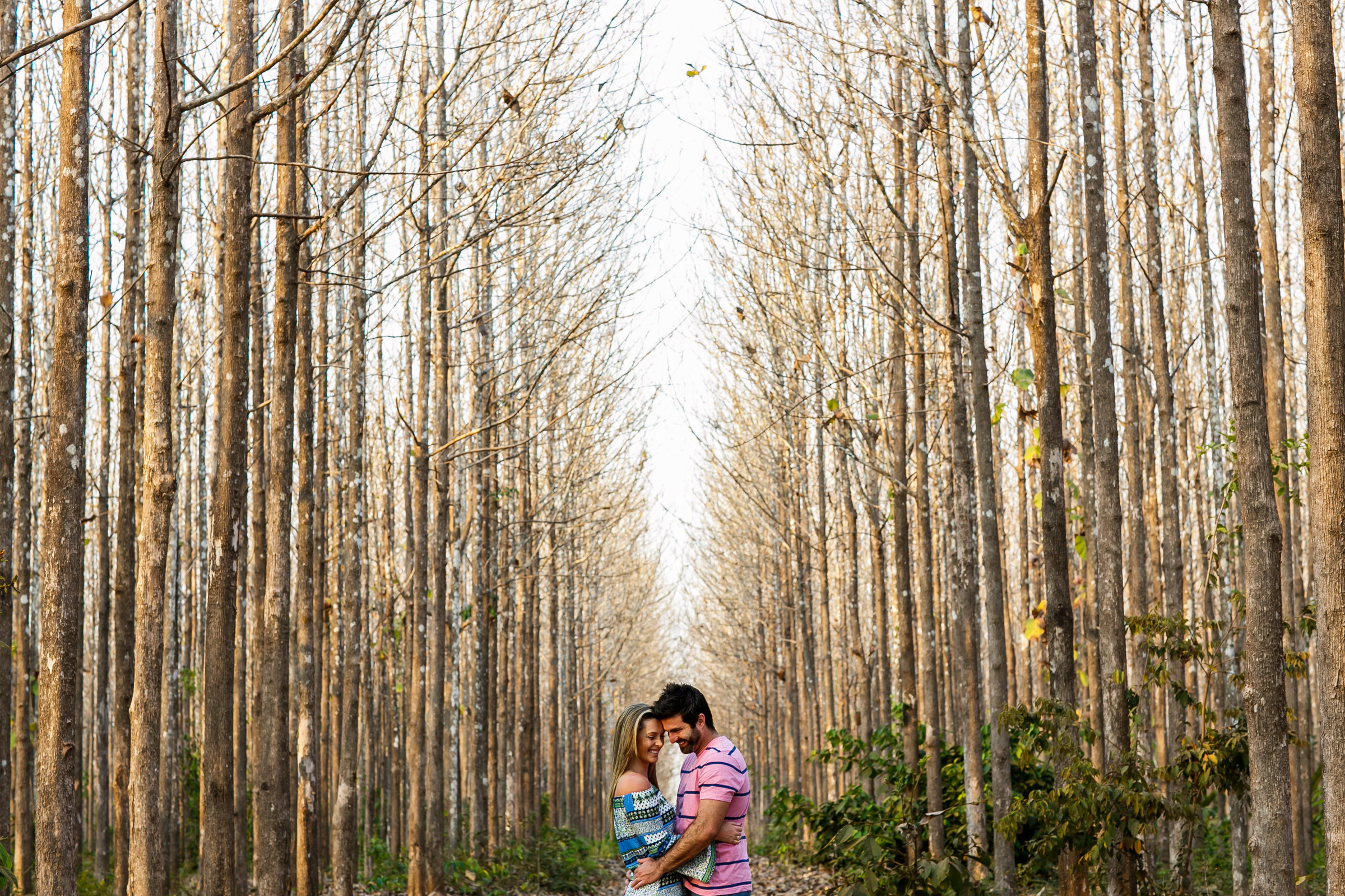 Foto de Braulio Delai Fotografia 4
