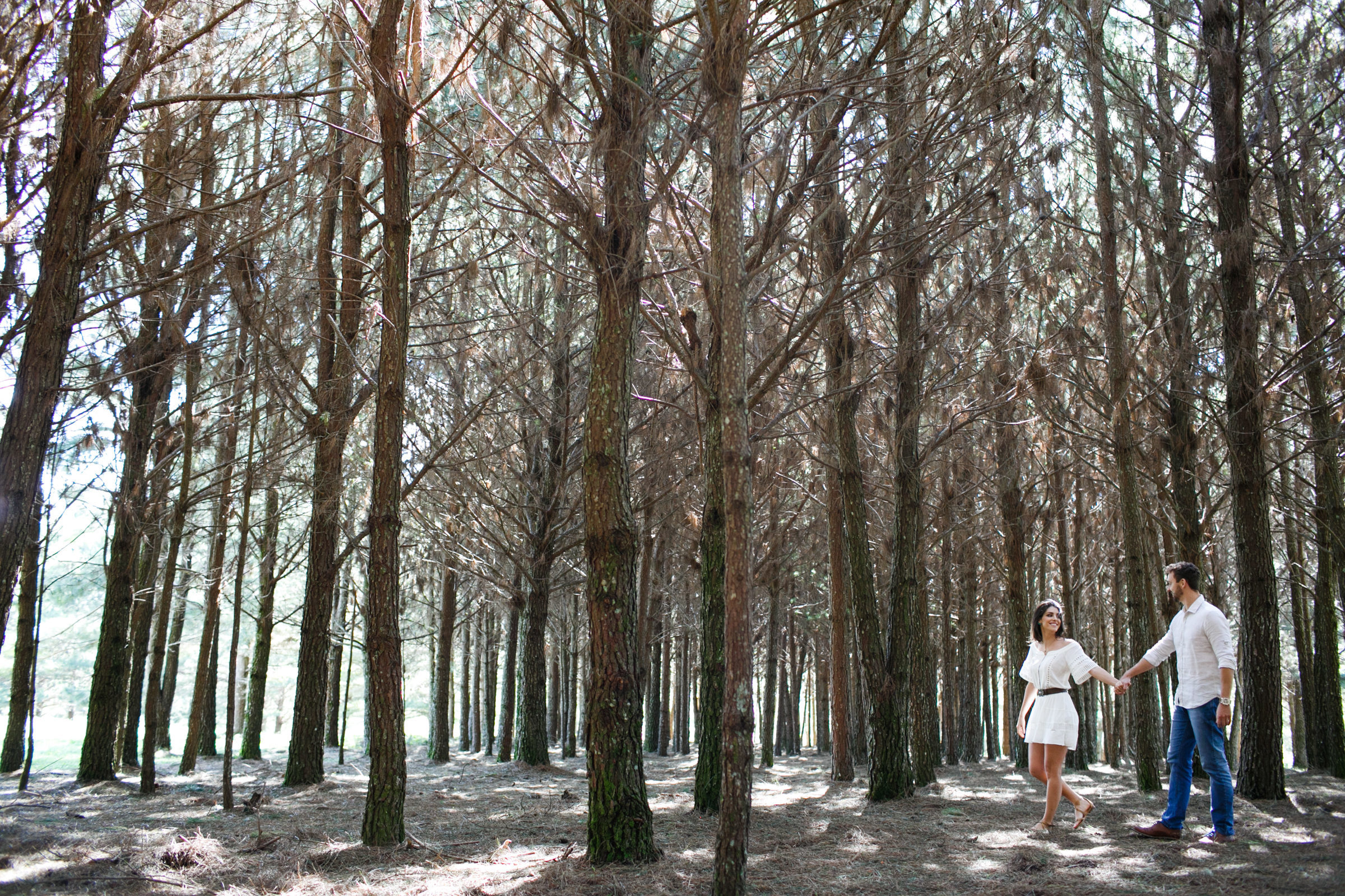 Foto de Braulio Delai Fotografia 7