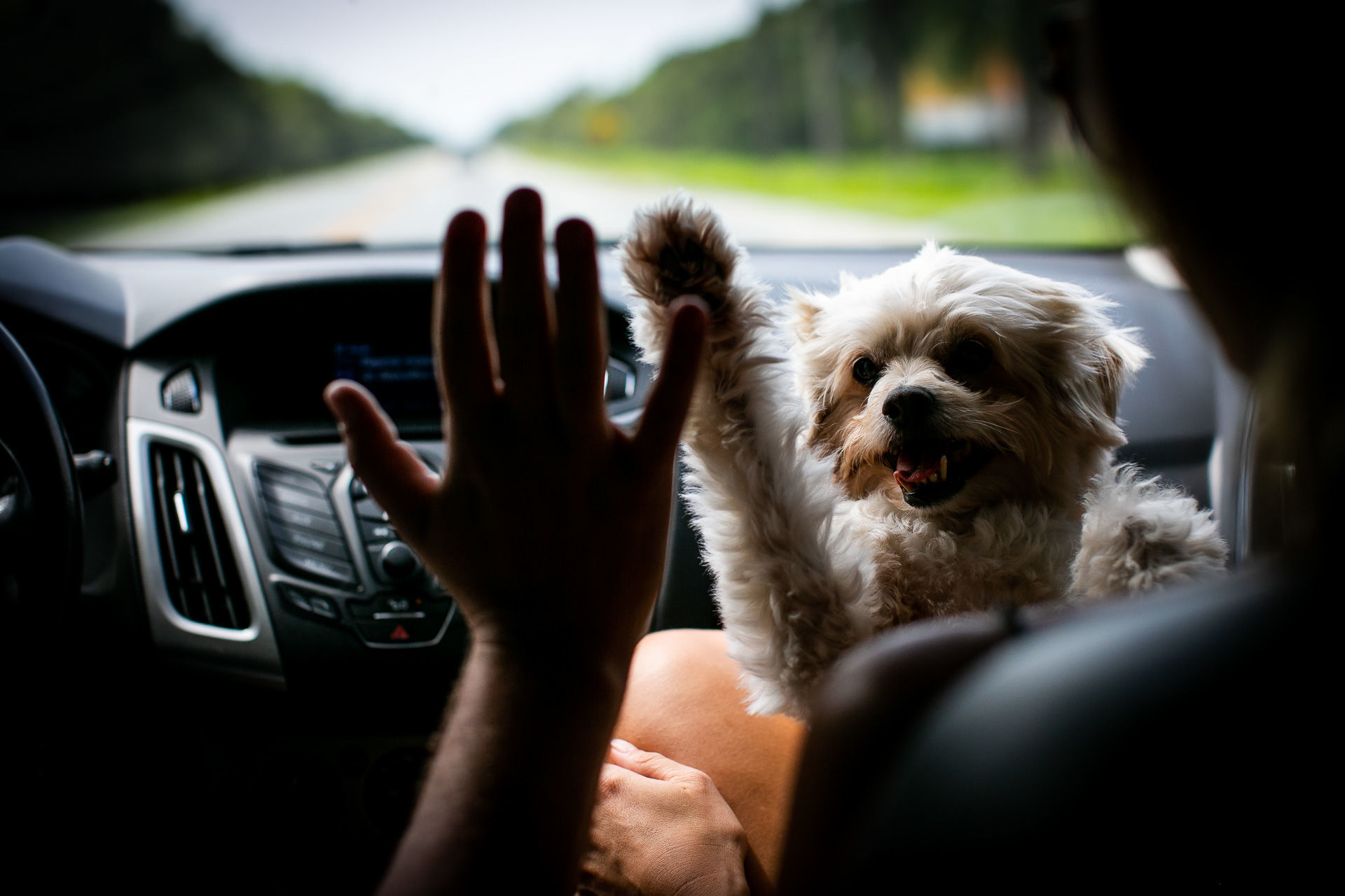 Foto Ensaio Thaty & Kaue :: Ilha do Mel - Pr - Imagem 0