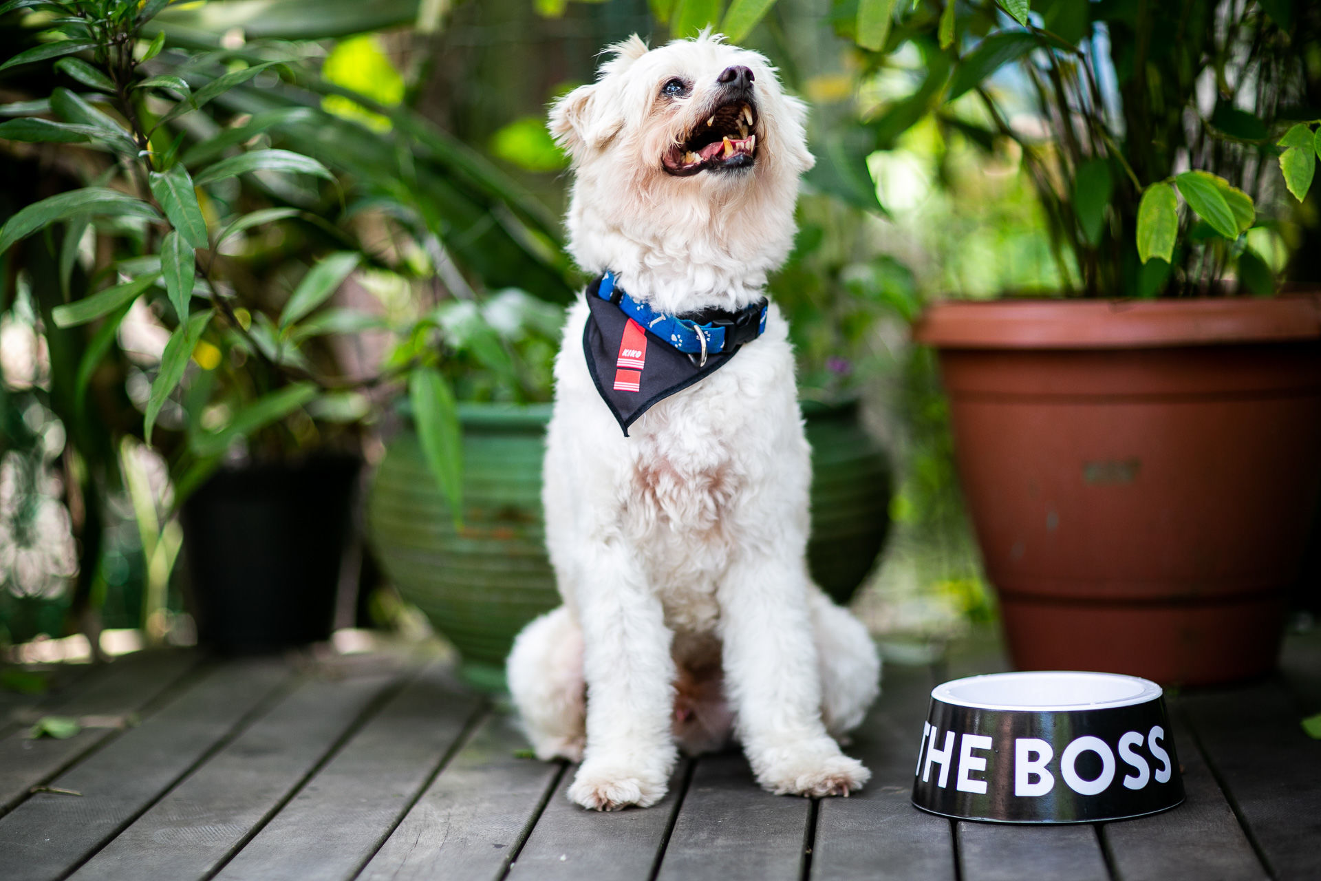 Foto Ensaio Thaty & Kaue :: Ilha do Mel - Pr - Imagem 8