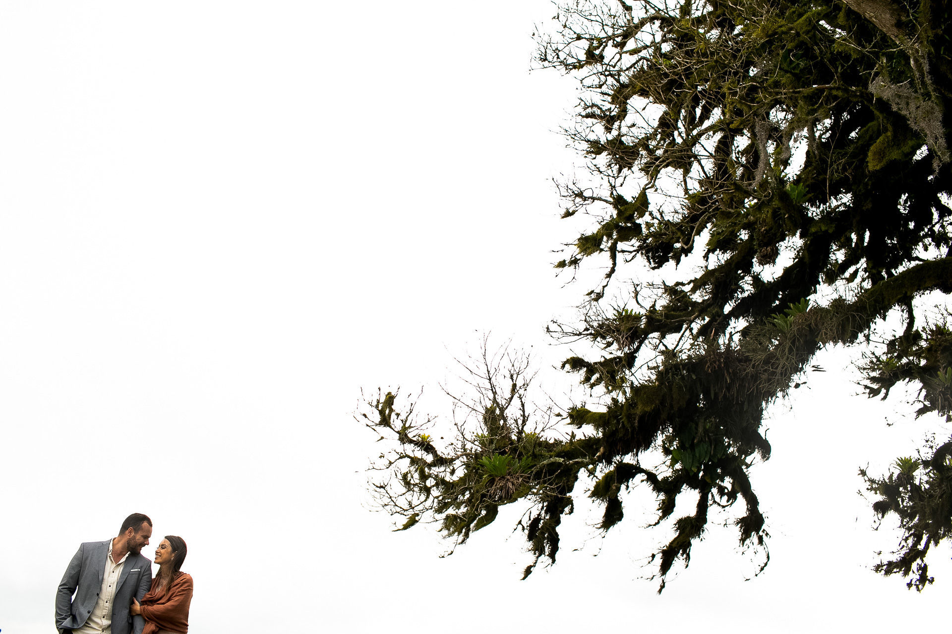 Foto Ensaio Monetti & Gabriel :: Sao Luis do Purunã - Pr - Imagem 8