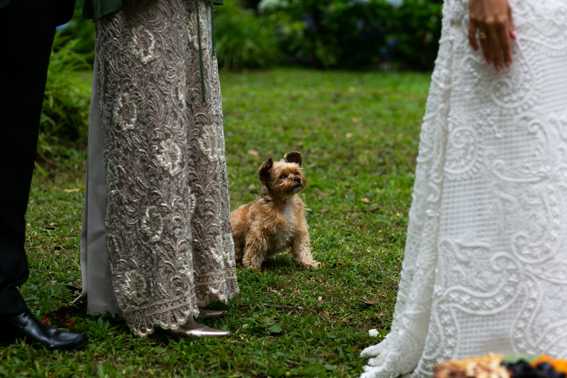Foto Casamento Talita & Igor - Imagem 57