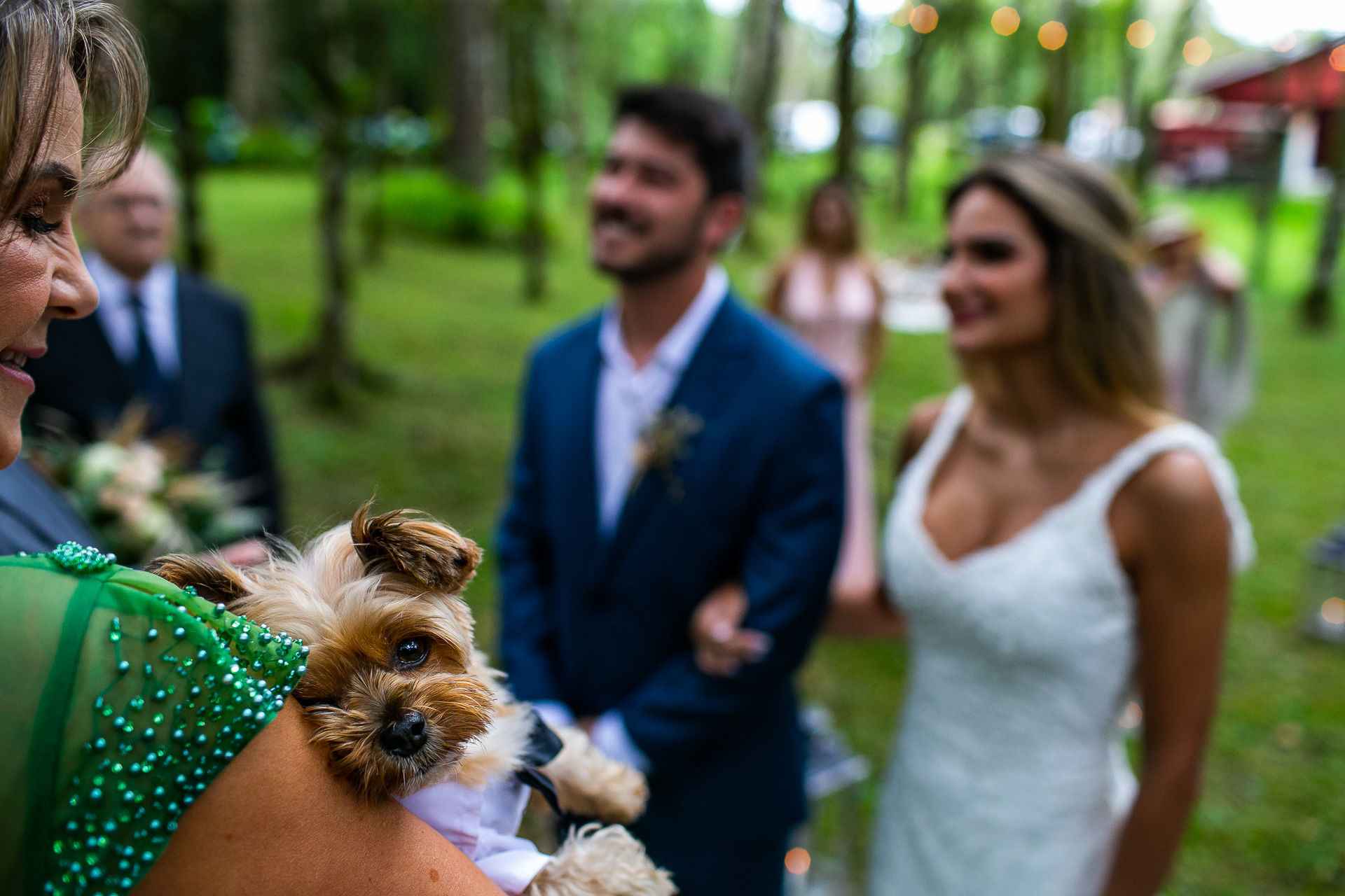 Foto Casamento Talita & Igor - Imagem 39