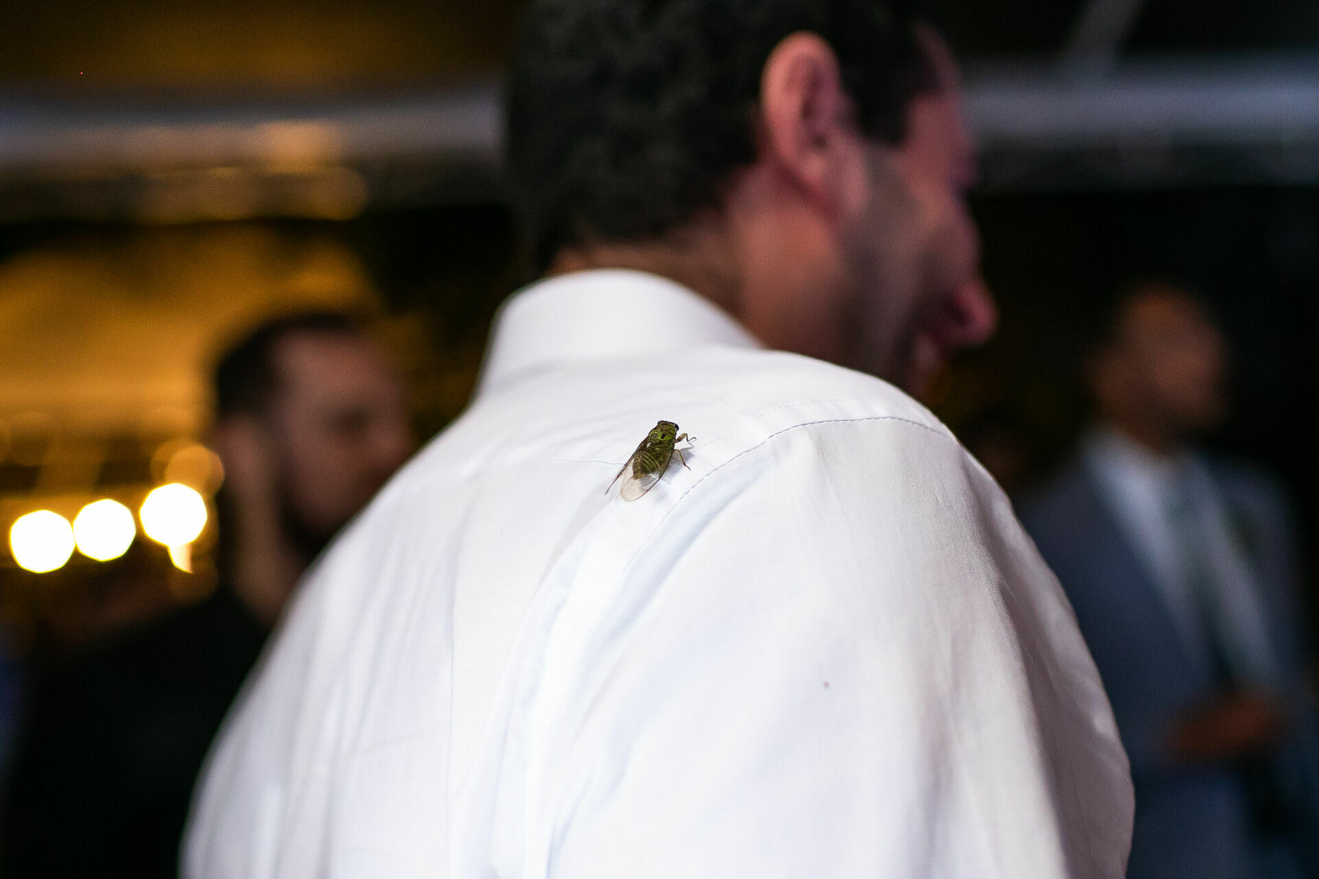 Foto Casamento Fernanda & Vinicius - Imagem 54