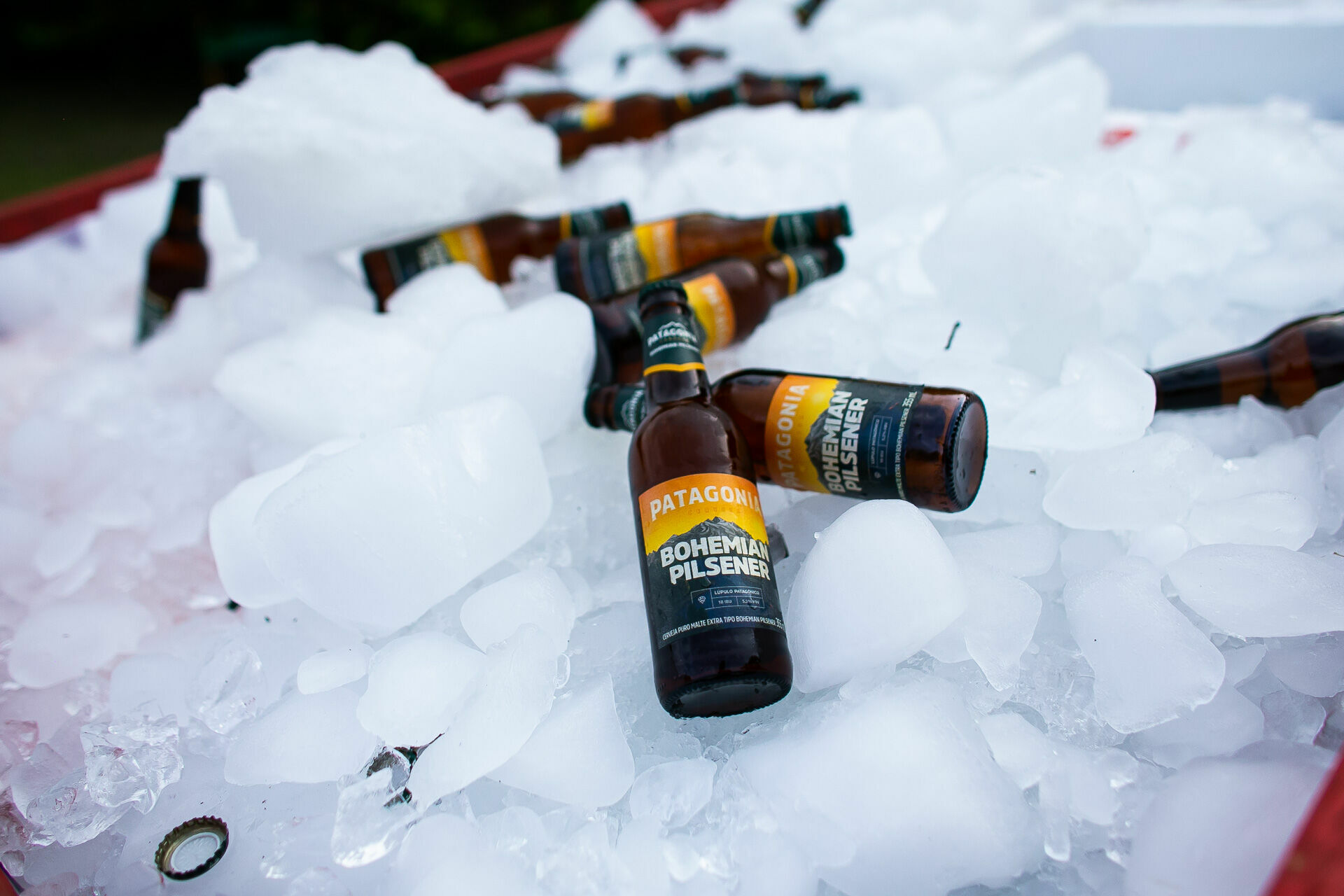 Foto Casamento Fernanda & Vinicius - Imagem 39