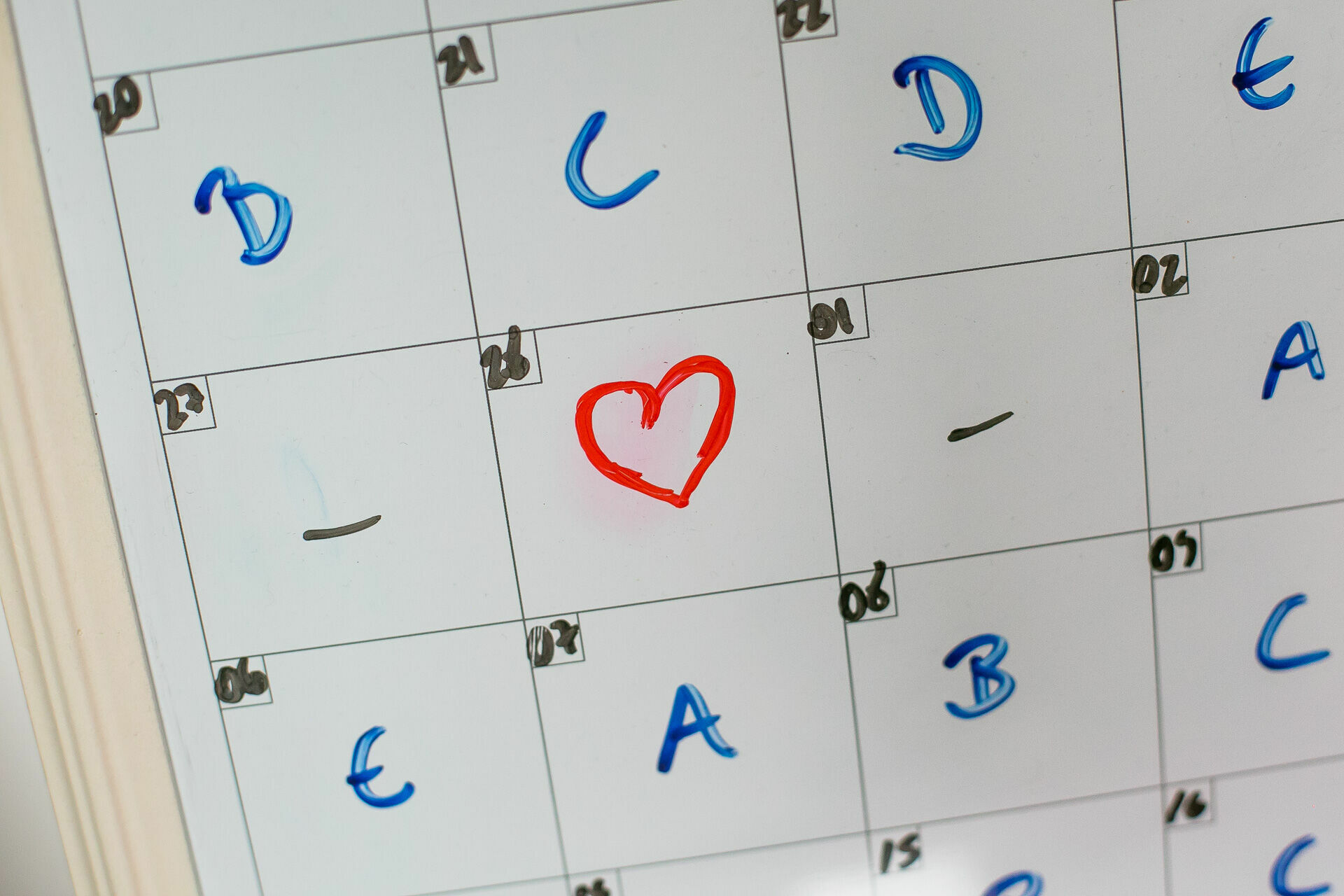 Foto Casamento Scheilla & Gustavo - Imagem 5