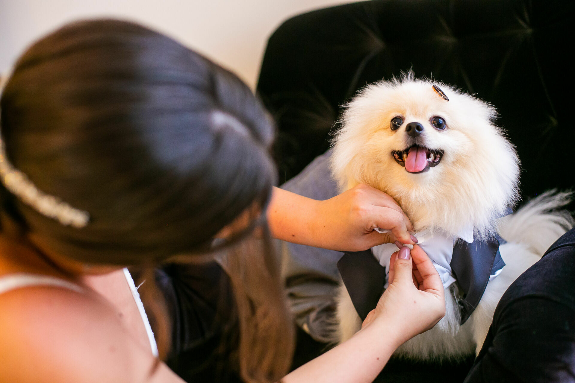 Foto Casamento Mariana & Dario - Imagem 14