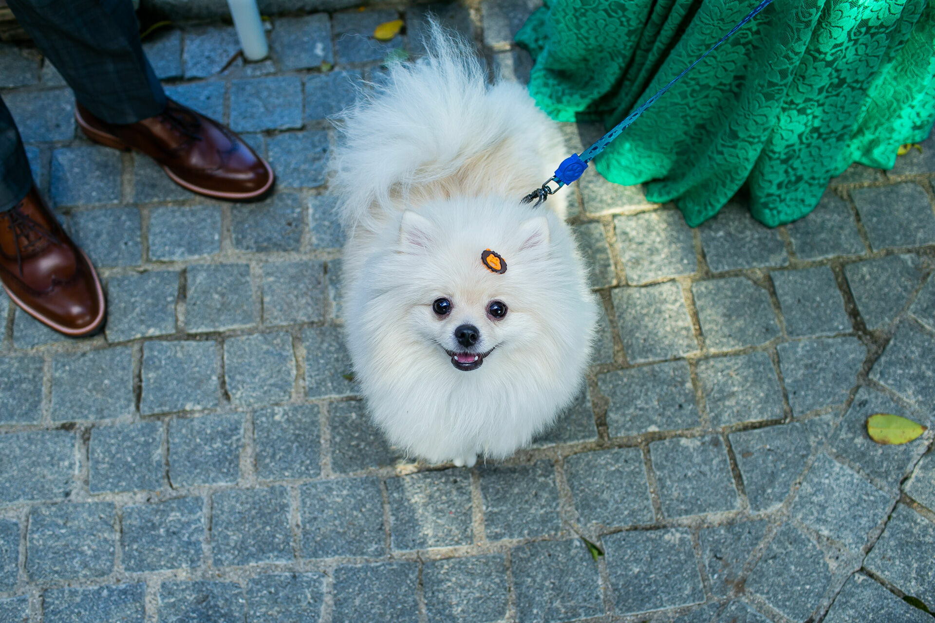 Foto Casamento Mariana & Dario - Imagem 10