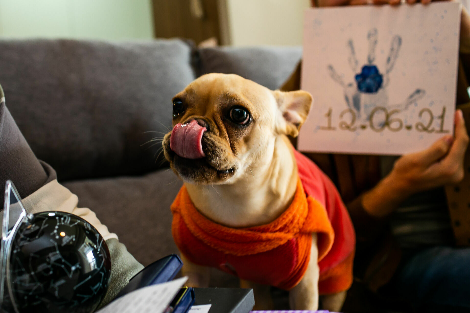 Foto Casamento Cecilia & Rodrigo.  - Imagem 12