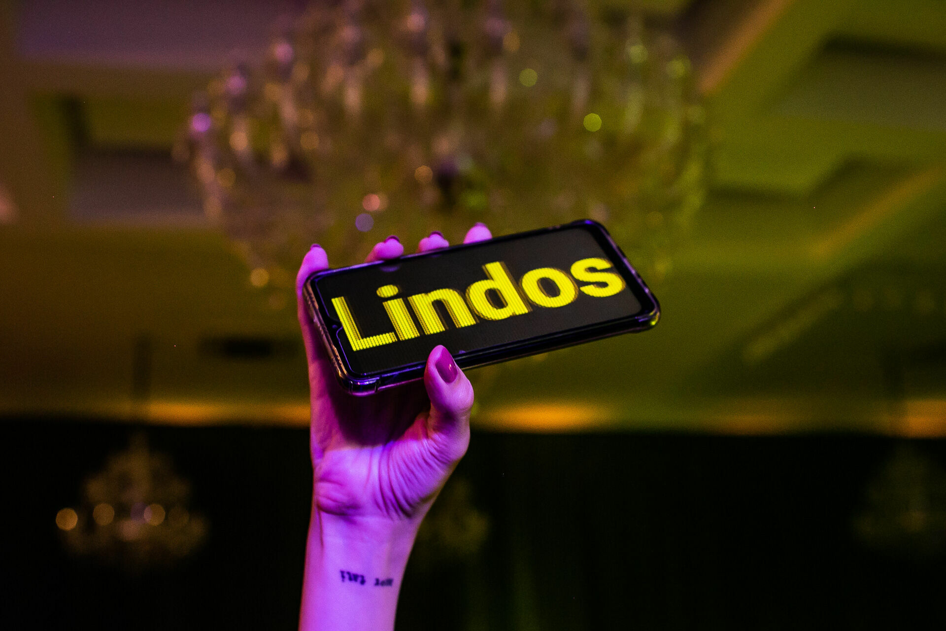 Foto Casamento Allan & Marlon - Imagem 45