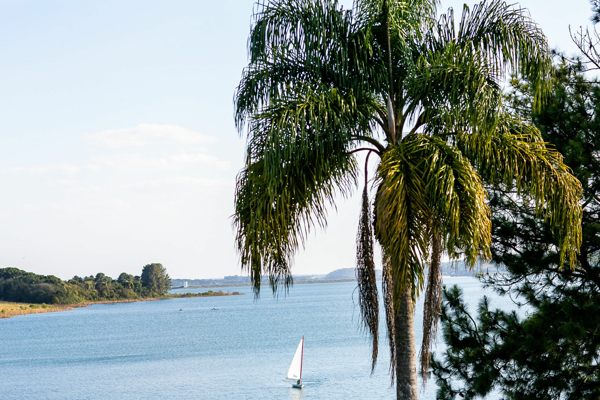 Foto Casamento Amanda & Henrique - Imagem 26