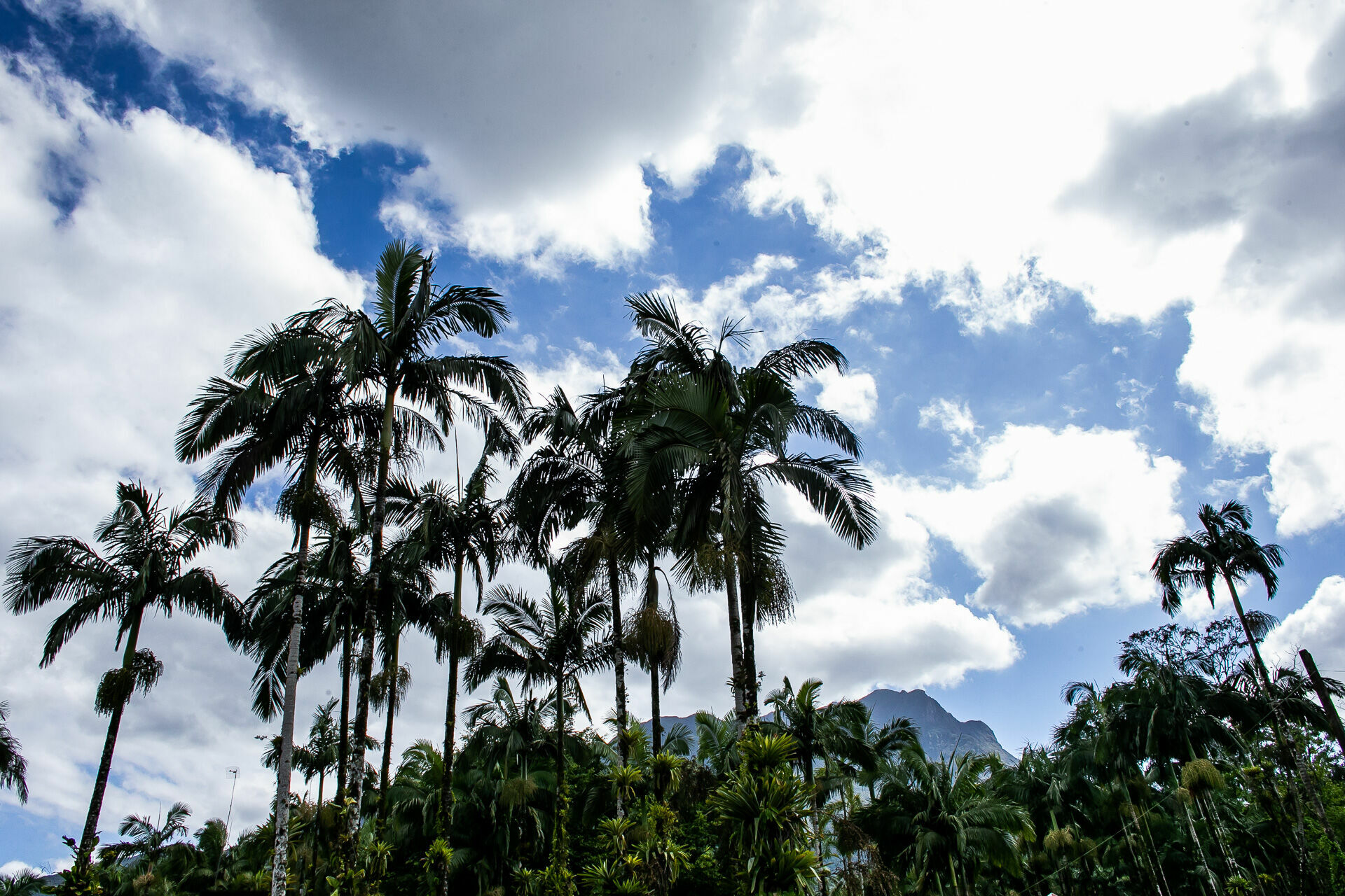 Foto Casamento Betina & Armando - Imagem 1