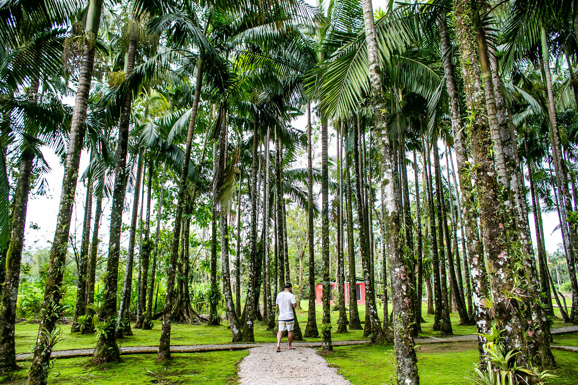 Foto Casamento Betina & Armando - Imagem 8