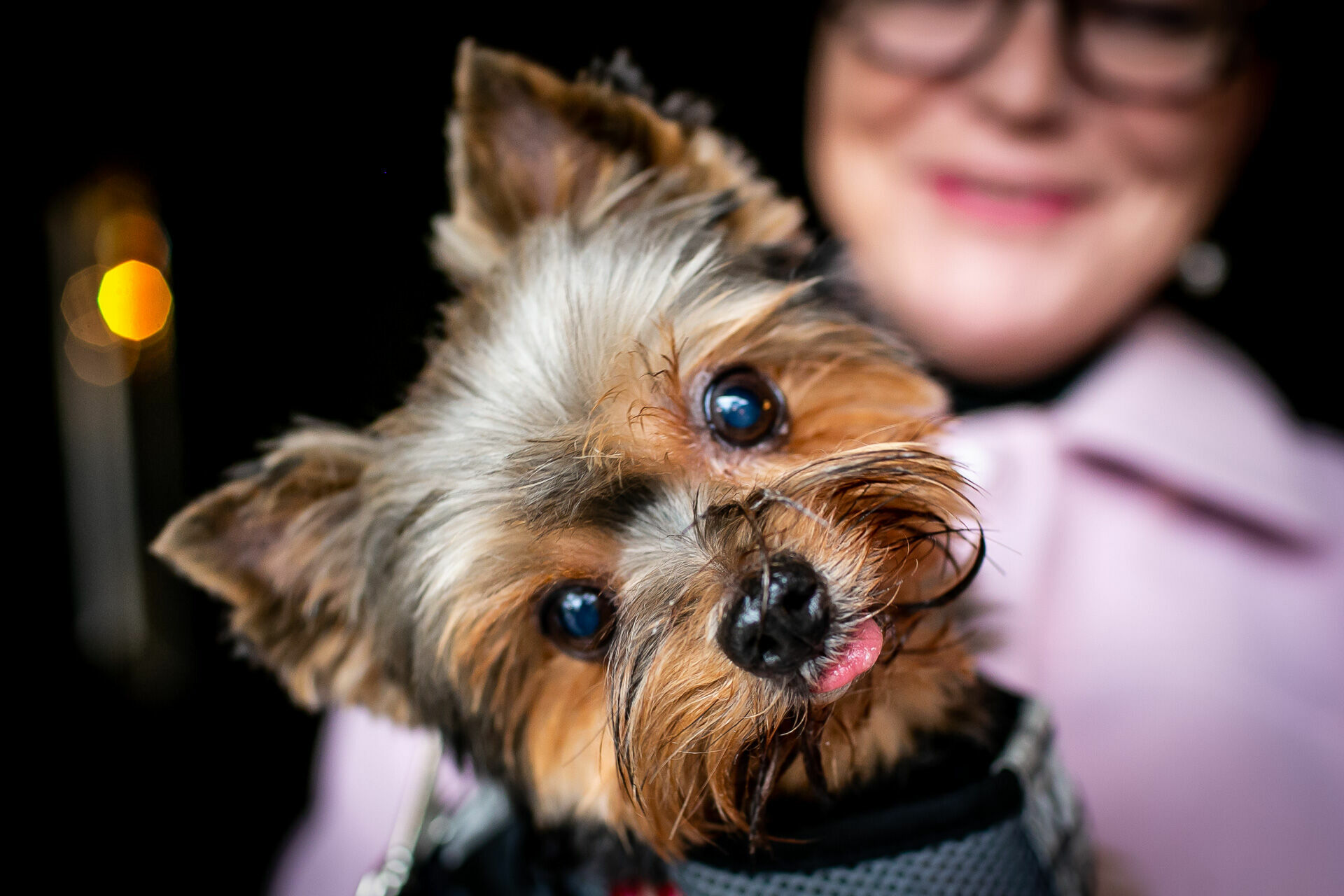 Foto Casamento Raphaela & Sheila - Imagem 10