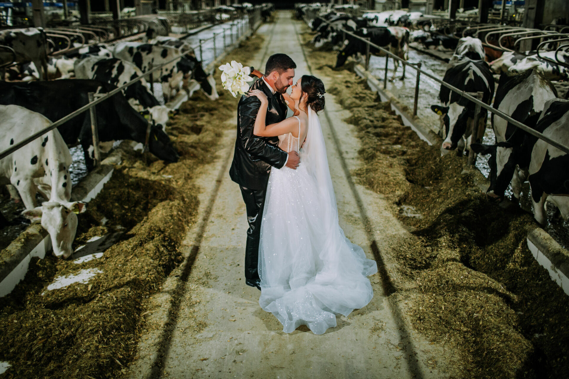 Foto Casamento Giulia & Gustavo - Braza Fotografia - Imagem 77