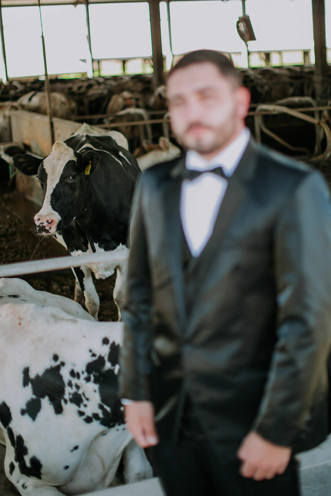 Foto Casamento Giulia & Gustavo - Braza Fotografia - Imagem 17