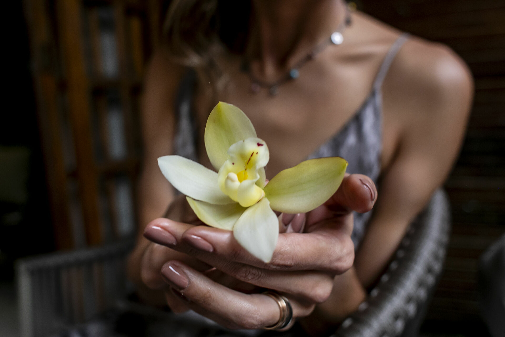 Foto Casamento Mariana & Fernando - Ilha do Mel - Imagem 22