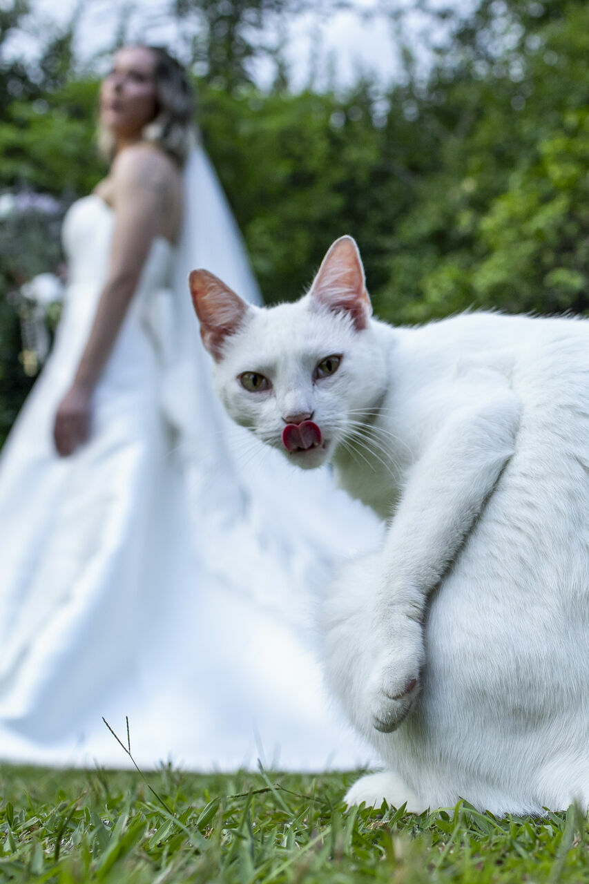Foto Casamento Juliana & Guilherme - Imagem 97