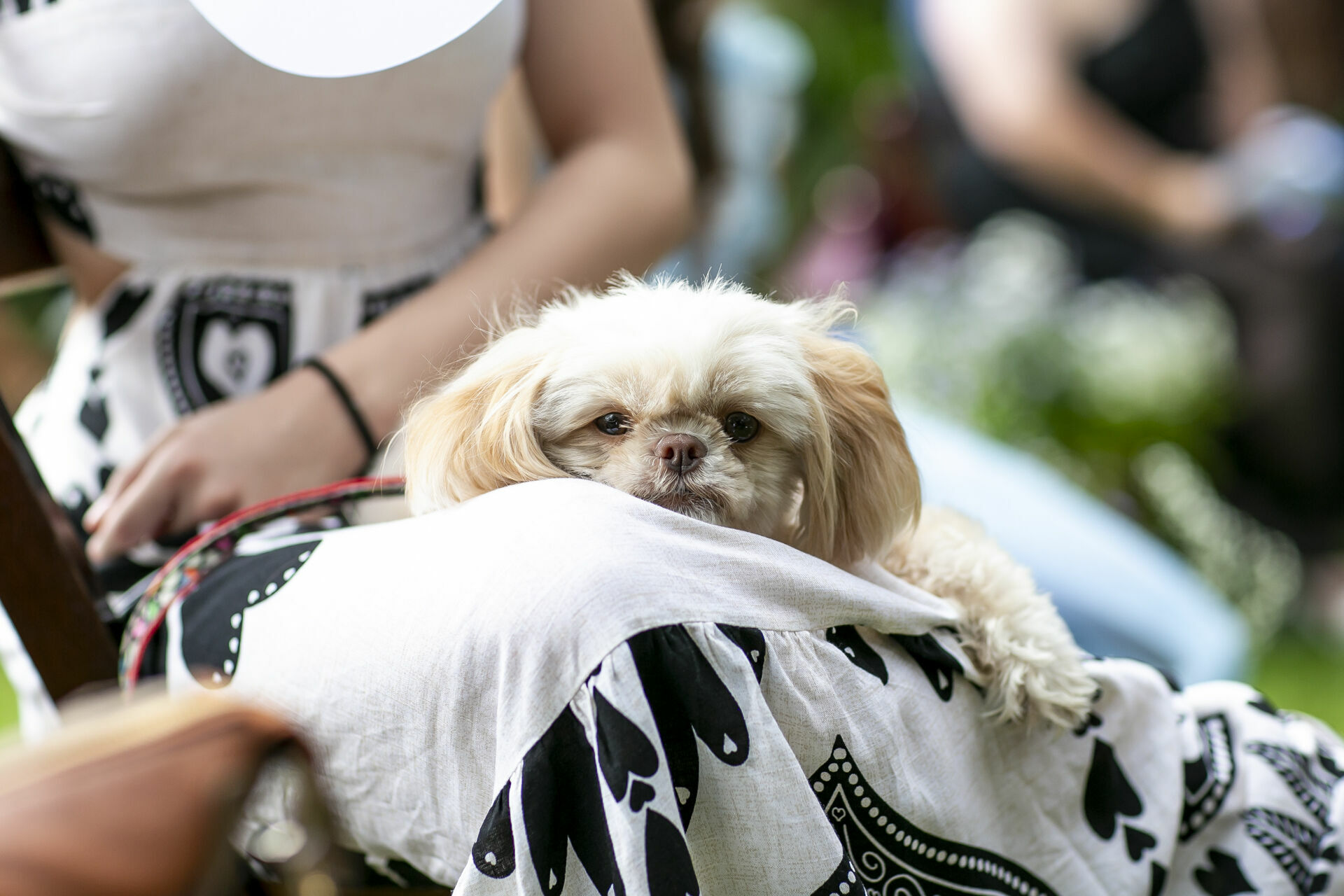 Foto Casamento Juliana & Guilherme - Imagem 43